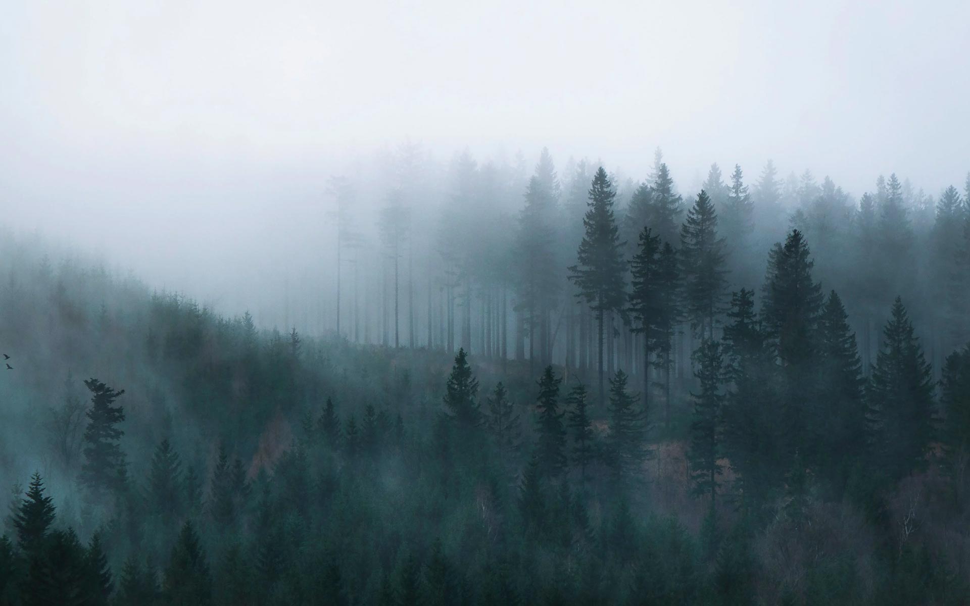 cottage3-section-bg1